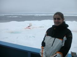 Greenland Sea Abigail Marshall Polar Bear